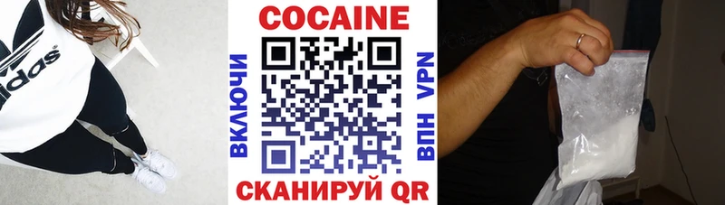 дарнет шоп  Дальнегорск  Cocaine 99% 