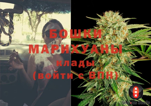 ешки Аркадак