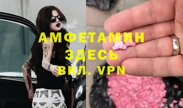 ешки Аркадак