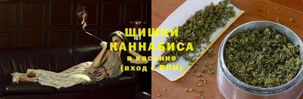 ешки Аркадак
