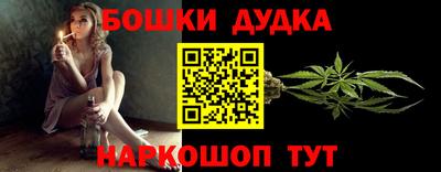 индика Бийск