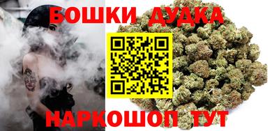 индика Бийск