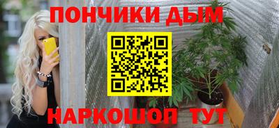 индика Бийск