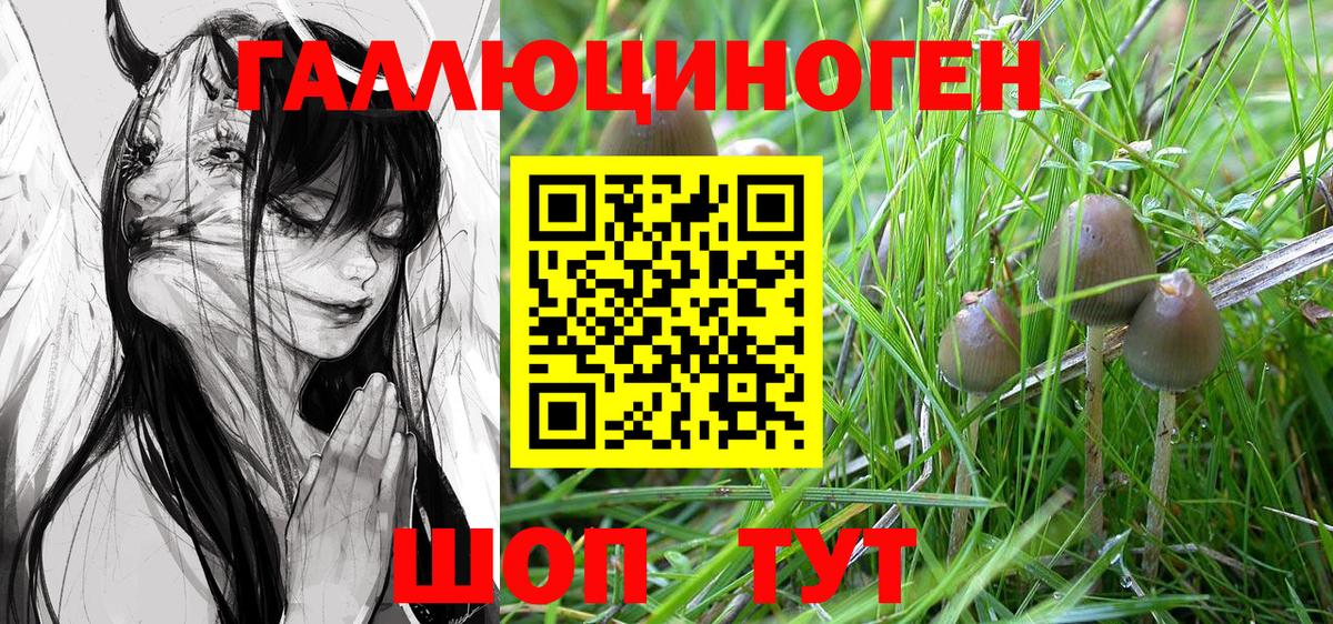 что такое   Псилоцибиновые грибы MAGIC MUSHROOMS  Дальнегорск  Галлюциногенные грибы мухоморы 
